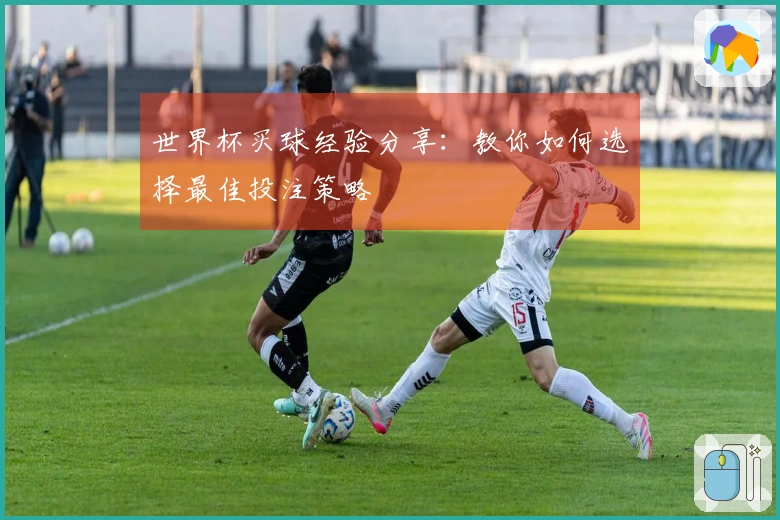 世界杯买球经验分享：教你如何选择最佳投注策略