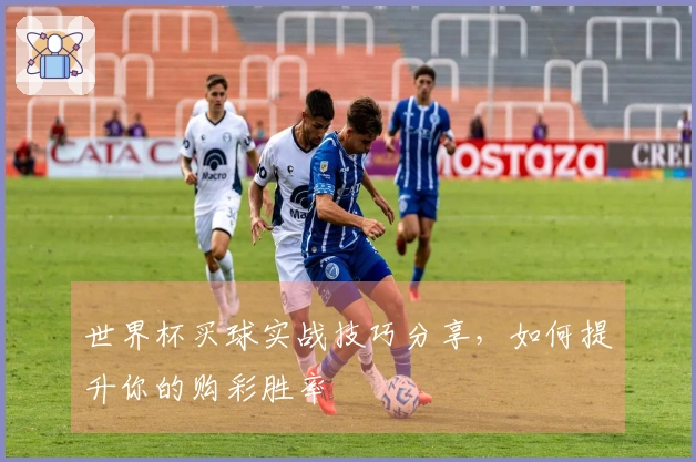 世界杯买球实战技巧分享，如何提升你的购彩胜率